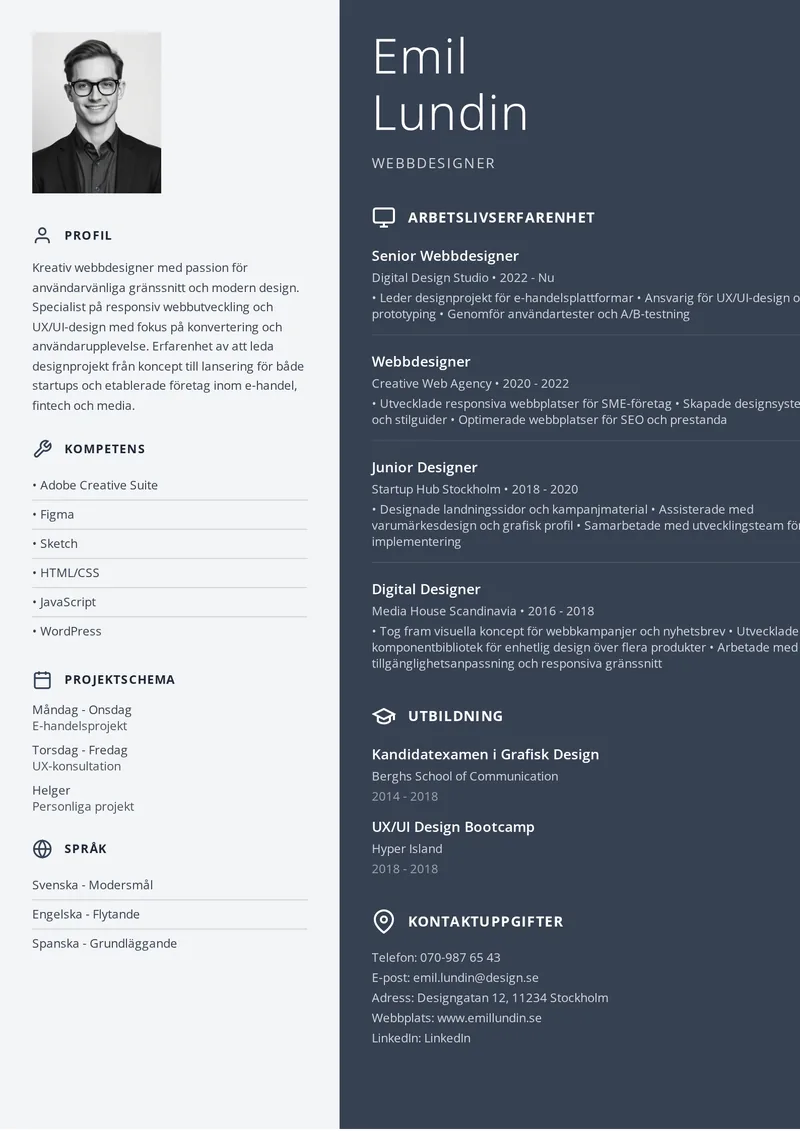 Modern cv-mall med färgad sidopanel