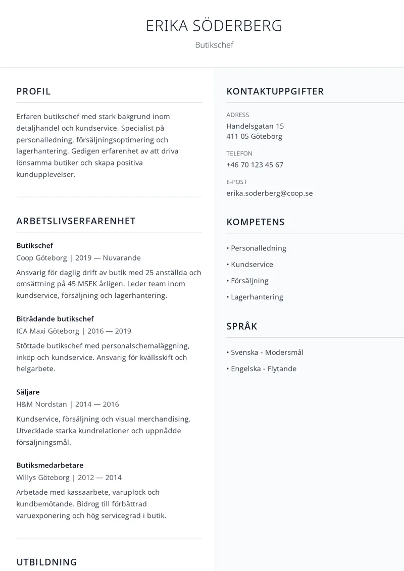 CV-mall Robust – kraftfull tvåkolumnsdesign